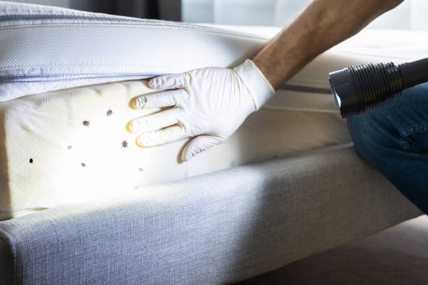 Best Best Pest Control Companies  in Columbia, SC