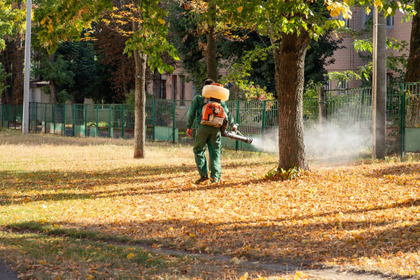Best Rat Extermination Near Me  in Columbia, SC
