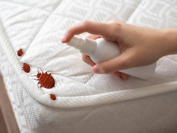 Best Best Pest Control Companies  in Columbia, SC