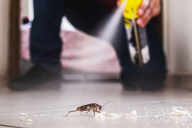 Best Residential Pest Control  in Columbia, SC